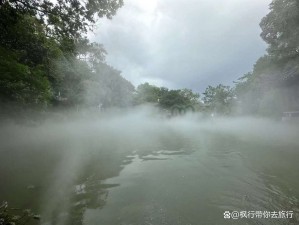 爬行创造魔法世界：探寻神秘枫湖之秘探寻自然魔法之旅：从爬行生物洞察枫湖的秘密起源