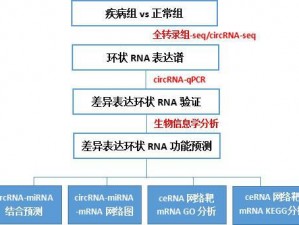 巴巴是你名词解析：含义深度探讨与属性细致剖析