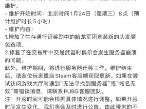 吃鸡国际服更新进程迟缓引发关注：探讨原因与解决方案