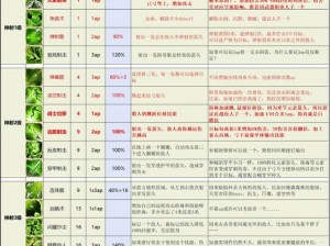 神界原罪2船长套装升级攻略：全面解析升级方法与步骤