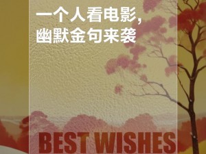 一个人看免费 WWW 视频，畅享高清画质，无广告骚扰，随时随地想看就看，这感觉太爽了