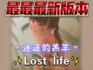 Lostllife主角的睡眠时长揭秘：昼夜颠倒下的生活节奏探索