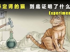 薛定谔的猫与战魂铭人的作用分享：量子世界中的智慧与策略交织