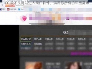 100 款不良网站进入窗口软件，满足你所有的私密需求