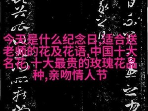 大团圆结亲情会李明最新章节内容-大团圆结亲情会：李明最新章节内容