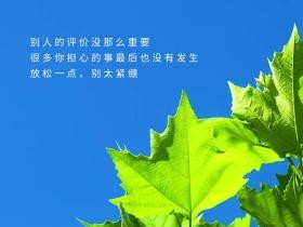 忘忧草在线社区 WWW 图片——成人内容分享平台，让你放松身心