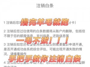 健康廊坊手机号注销流程详解：如何便捷地解除关联与注销手机号