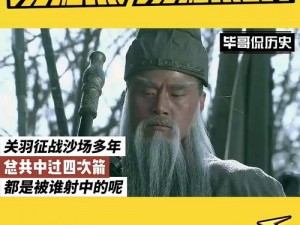 忠勇义烈关羽为核心的最强阵容：历史中的铁血兄弟与英勇征战