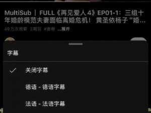 综合中文字幕，多国语言字幕，提供多种语言的视频字幕服务