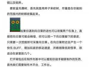 泰拉瑞亚游戏初期攻略：探索基础资源，建设安全基地与策略发展指南