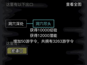 江湖令获取攻略：揭秘放置江湖中令牌的获取途径与策略