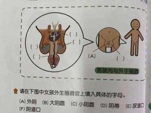 妈妈给我避孕套跟他做咨询——性教育产品