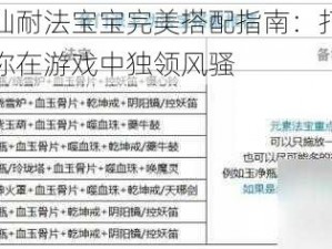 梦幻新诛仙耐法宝宝完美搭配指南：打造专属策略，助力你在游戏中独领风骚