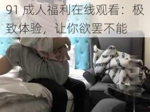 91 成人福利在线观看：极致体验，让你欲罢不能