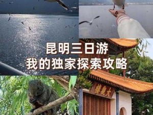 晨曦启程：白行川之旅的独家攻略探索