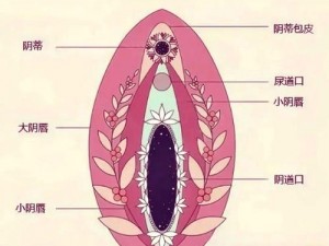 一款可以在公交车上使用的荫蒂添产品，让你享受舒适的私密体验