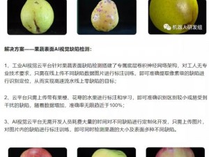 揭秘：果蔬安装及配置指南——全方位解析操作流程与注意事项