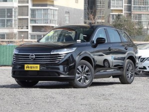 国产 SUV 精品一区二区 883：舒适大空间，畅享驾驶乐趣