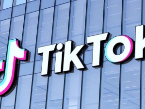 国际服tiktok色板免费,国际服 TikTok 色板免费？真的假的？