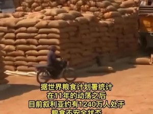 饥荒重现：如何避免灾难性粮食危机再次发生