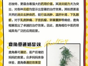 冰原秘境：守护者的兽皮与鹿角获取之道——鹿角的力量与用途探究