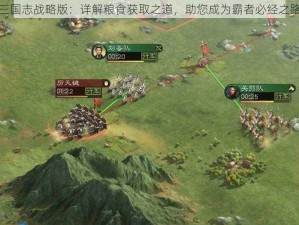 三国志战略版：详解粮食获取之道，助您成为霸者必经之路