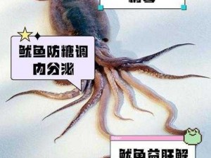 鱿鱼by1351入口、鱿鱼 by1351 入口：探索神秘海域的绝佳途径