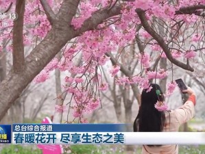 春暖花开欧洲无码性无码区：高品质成人视频，让你尽享激情时刻