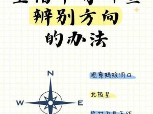 Lost the Life全面攻略：一步步找回生活的方向与意义