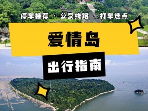 爱情岛线路一 vip：开启甜蜜恋爱之旅