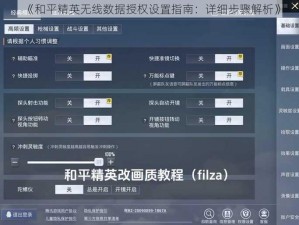《和平精英无线数据授权设置指南：详细步骤解析》