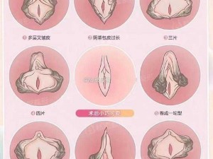 免费看女性私密部位_请问有可以免费观看女性私密部位的地方吗？