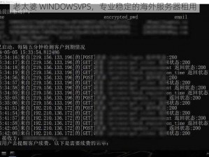 老太婆 WINDOWSVPS，专业稳定的海外服务器租用