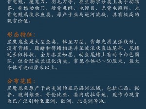 揭秘魔鬼鱼捕获技巧：专业捕鱼指南分析