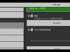 关于网易mc如何优化设置提高FPS的实用指南