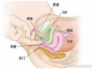 火车上荫蒂添的好舒服图片—火车上荫蒂添的好舒服，是一种怎样的体验？