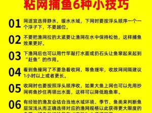 捕鱼分享：解析剑鱼捕捉技巧 深入了解捕鱼过程中的注意事项