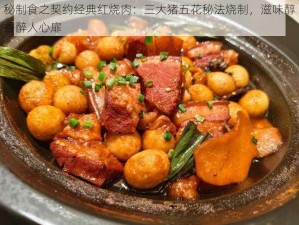 秘制食之契约经典红烧肉：三大猪五花秘法烧制，滋味醇香醉人心扉