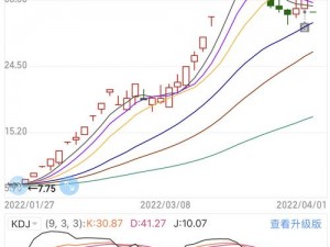 俄罗斯方块环游记SZ旋转技巧详解：图文攻略带你玩转SZ旋转法则