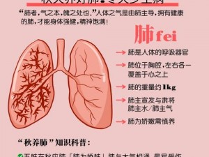 办公室强肝第几集死的？揭秘肝脏保护的秘密