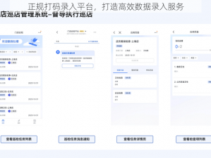 正规打码录入平台，打造高效数据录入服务