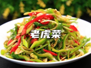 51 在线吃瓜网爱老虎菜，新鲜采摘，口感爽脆，营养丰富，是您健康生活的好选择