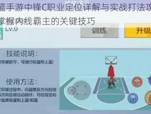 街篮手游中锋C职业定位详解与实战打法攻略：掌握内线霸主的关键技巧