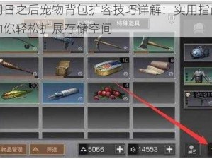 明日之后宠物背包扩容技巧详解：实用指南助你轻松扩展存储空间