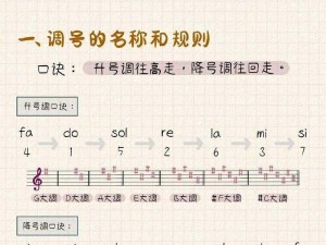 钢琴师调速设置指南：从入门到精通的全面攻略