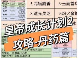 皇帝成长计划2：全新剧情模式攻略指南——掌握策略，明智择帝之路