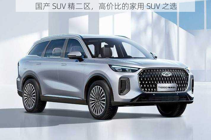 国产 SUV 精二区，高价比的家用 SUV 之选