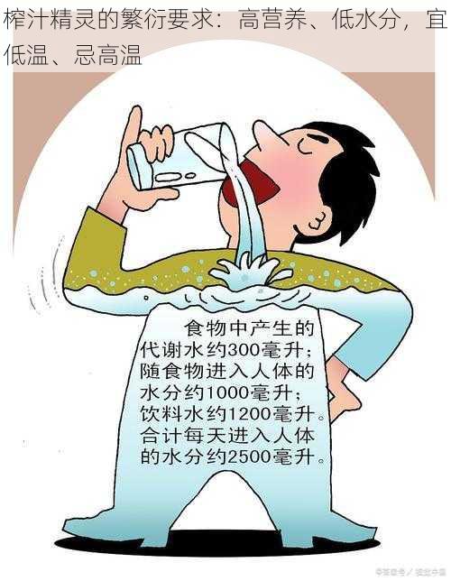 榨汁精灵的繁衍要求：高营养、低水分，宜低温、忌高温