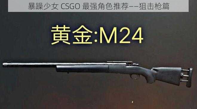 暴躁少女 CSGO 最强角色推荐——狙击枪篇