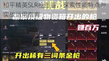 和平精英SLR枪图鉴：探索性能特点与实战运用指南